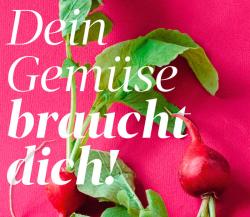 Bild: GUSTO