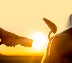 Bild: iStock: SimonSkafar
