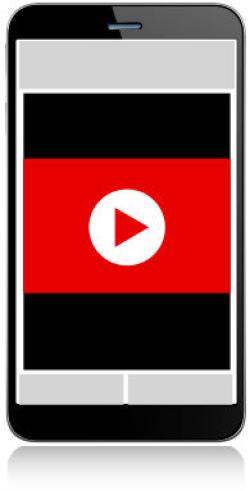 Bild: vgn
